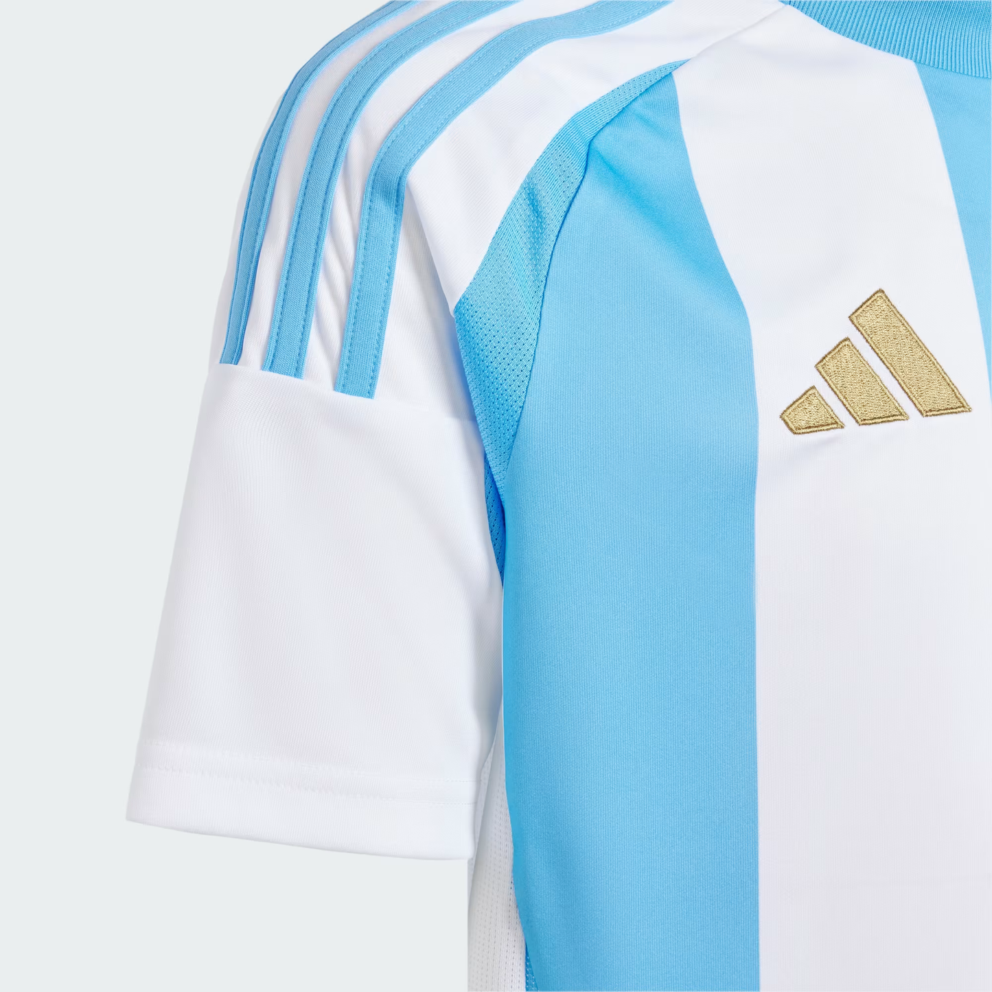 Argentina 2024 Home Shirt
